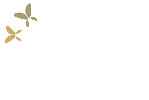 Achtergrond2